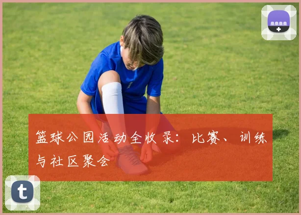篮球公园活动全收录：比赛、训练与社区聚会